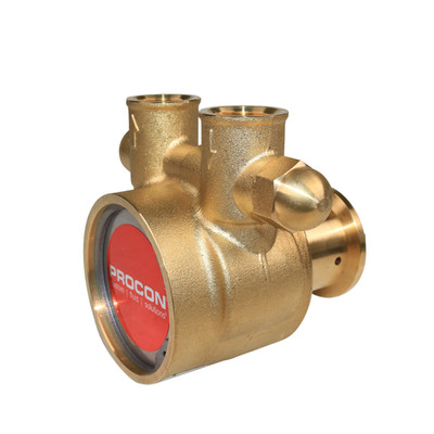 PROCON 114B240F11BC - 1/2'' NPT Brass Rotary Vane Pump Series 4