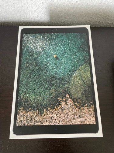 iPad Pro 10,5 Wi-Fi – 256 GB Zustand topokay
