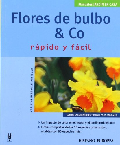 Flores de Bulbo & Co