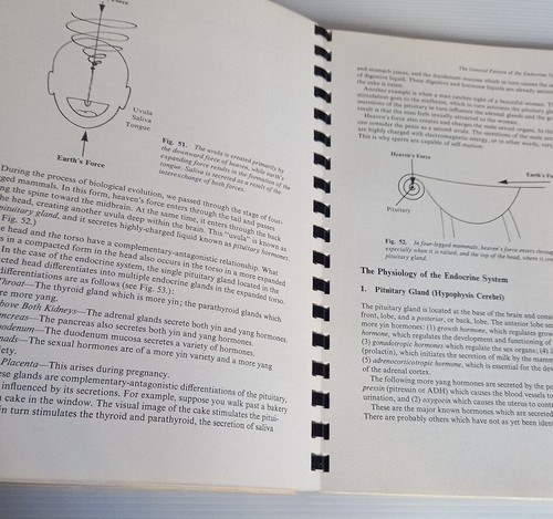 Michi Kushi Macriobotic Palm Healing Book & Natural Healing Holistic Books - Picture 17 of 19
