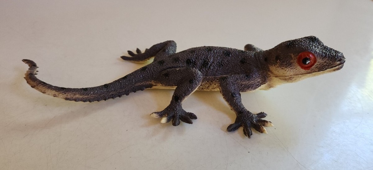 【タグ袋付き】NICENESS SPOOKY  lizard   即完品 NICENESS(ナイスネス) 