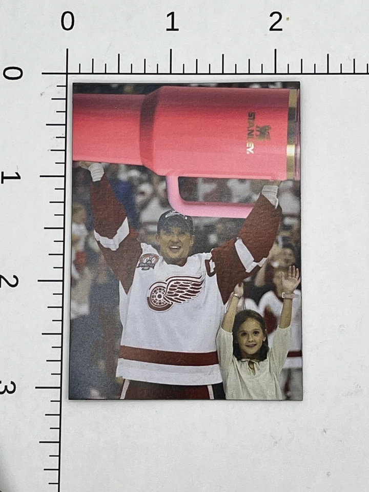 底特律红翼斯坦利杯冠军 3 英寸 x 2 英寸磁铁 Meme Joke Steve Yzerman — 第 3/4 张图片