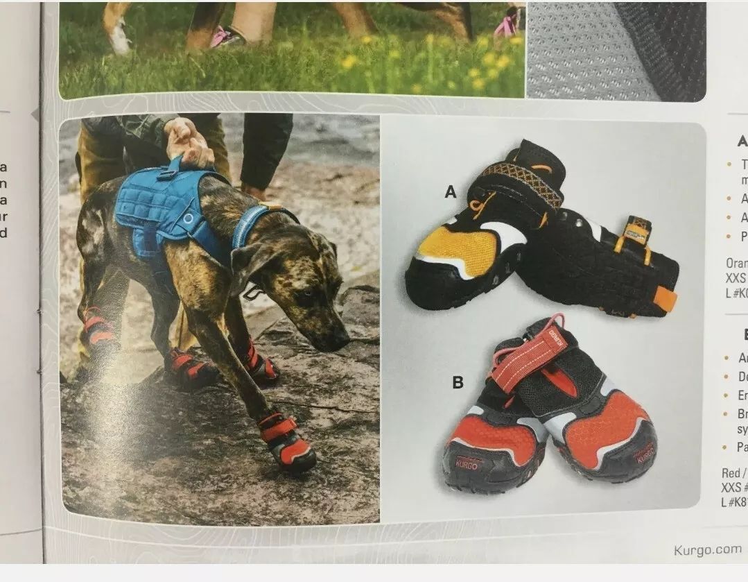 Kurgo dog clearance shoes