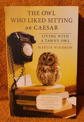 The Owl Who Liked Sitting on Caesar: Living with a Tawny Owl By Martin Windrow 