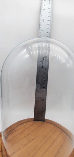 7,5"x5,25" Klar Cloche Glas Kuppel Glas Glocke Glas Display mit Holzsockel - Bild 5 von 5