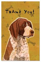 Tree-free Greetings Eco-notes Thank You Card Set, 4 X 6 Inches, 12-count Cards W Tree-free Greetings Eco-notes Thank You Card Set, 4 X 6 Inches, 12-count Cards W