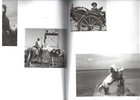 Picture 17 of 24