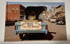 Postcard Worlds Record Black Bear Glidden Wis...