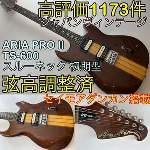 Aria Pro 2 Zz | eBay