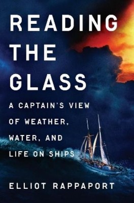 Elliot Rappaport Reading the Glass (Gebundene Ausgabe)