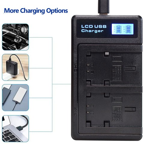 2X NP-FH50 Battery + charger For Sony HandyCam DCR-SR45 DCR-SR47 DCR-SR200 HC52 - Picture 5 of 9