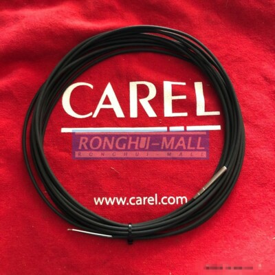 1PCS NEW FOR CAREL Temperature Sensor NTC060WF00 6M
