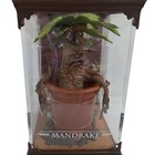 Picture 2 of 3