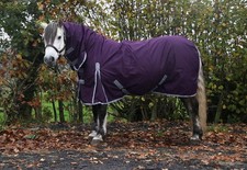100G Leightweight 600d Waterproof Breathable Horse Turnout Rug Ripstop Combo