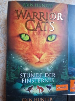 Warrior Cats Box (5 Bände) von Erin Hunter (2015, Taschenbuch)