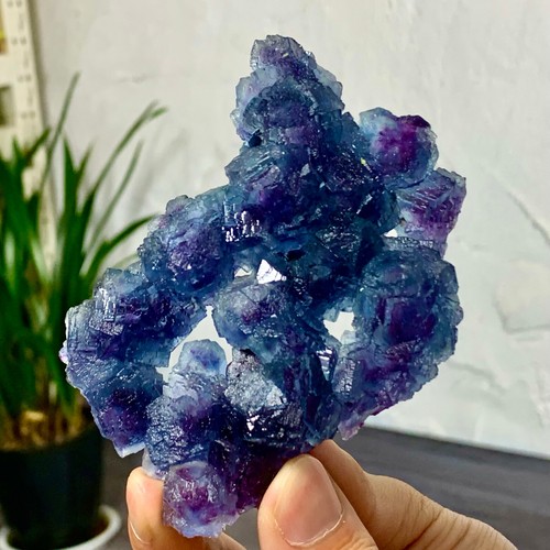171G naturale raro blu viola cubico fluorite campione cristallo minerale/Cina - Foto 10 di 20