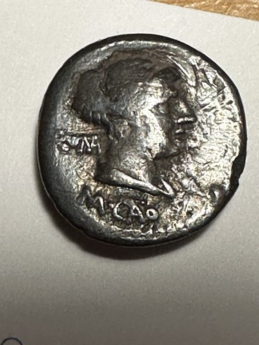 Roman Republic M. Porcius Cato AR Denarius Victory VICTRIX 89 BC Porcia 5