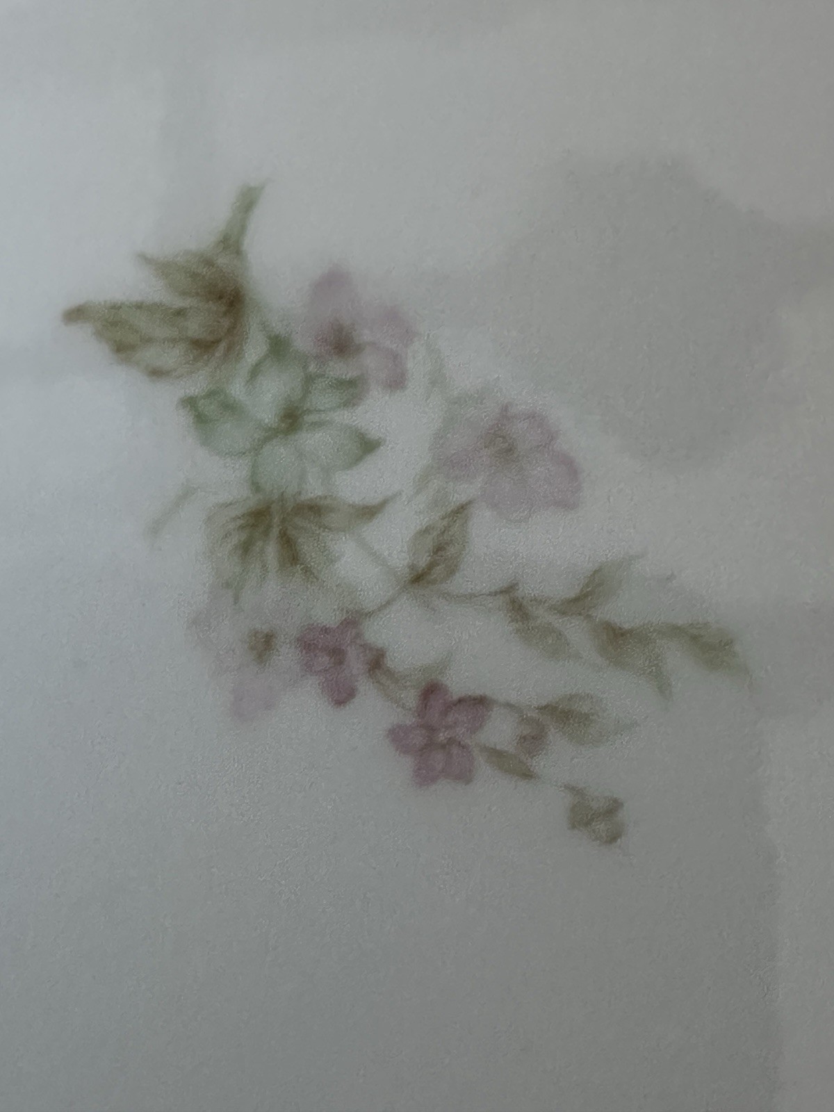 2 VTG HAVILAND & CO Limoges Floral Plates w/ Scalloped Gold Border 7 1/2” France