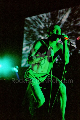 24 TOOL PHOTO SET 1996 ANIMA TOUR 4x6 ORIGINAL MAYNARD JAMES KEENAN DALLAS TX - Picture 16 of 24