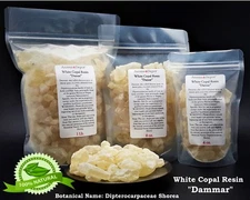 Natural Dammar Gum Resin Crystals Enacaustic Gammar Resin  White Copal