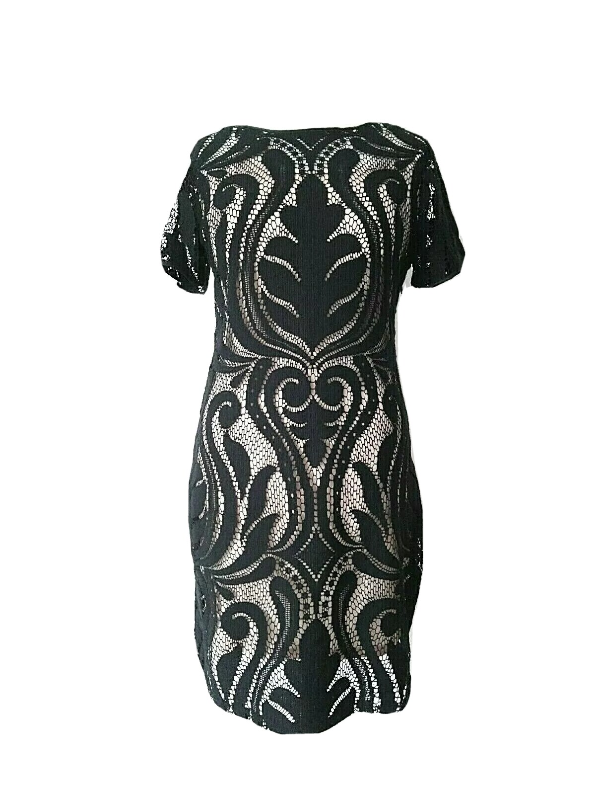 phase eight occasion dresses uk