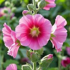 Bild 12 von 24