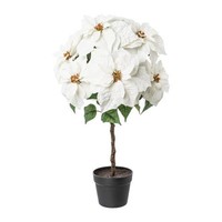 artplants KüNstlicher Weihnachtsstern Drenma, Dekotopf, Weiß, 75Cm