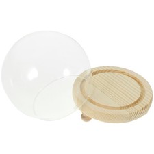  Preserved Flower Glass Dome Display Cloche Clear Globe for Figures
