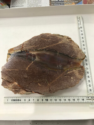 1 sehr großer Achat Agate Natur Deutschland Sachsen Skt. Egidien (AC3-2)