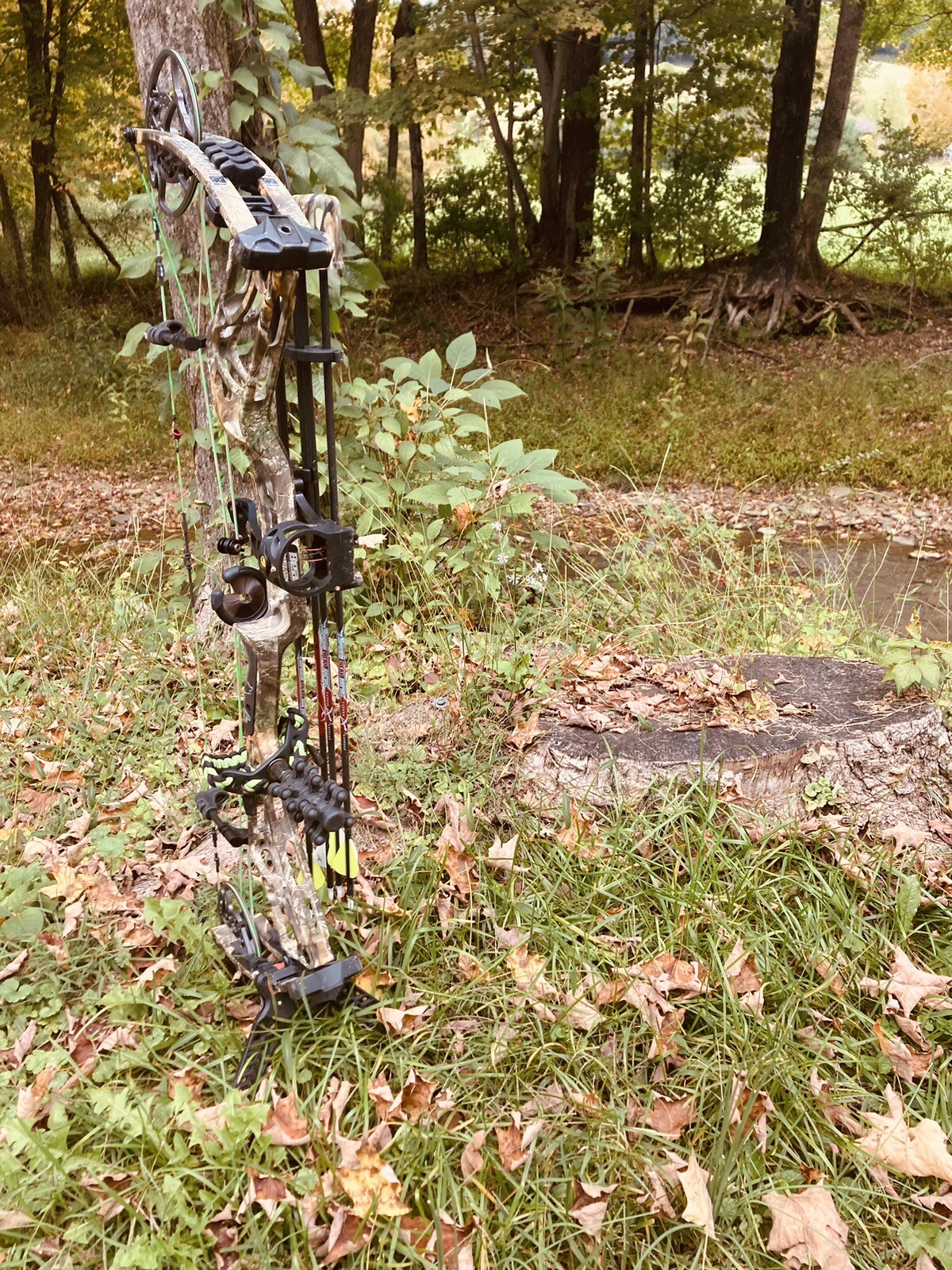 bear kuma 33 compound bow LEFT HANDED eBay