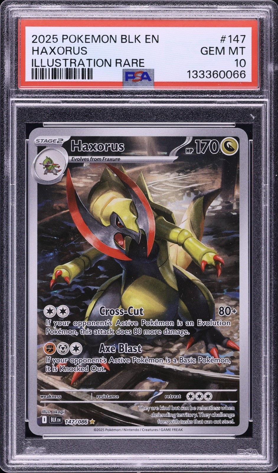 2025 Pokemon BLK EN-Black Bolt Illustration Rare #147 Haxorus PSA 10