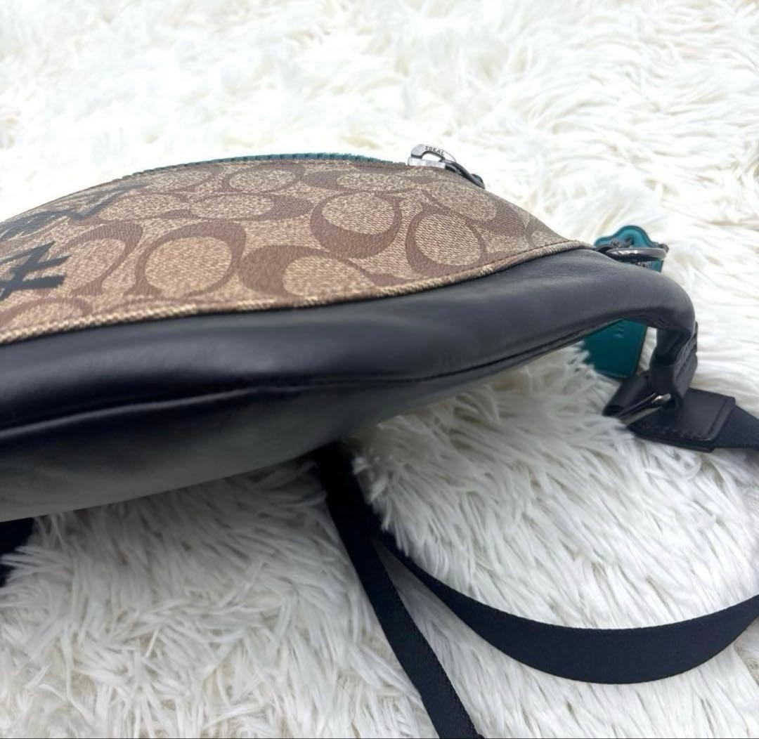 COACH X GUANG YU image 7