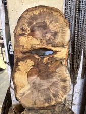 Baumscheibe, Holzscheibe, massiv, ca. 60x40x5cm