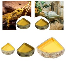 Reptilienwasserschale Reptilien -Feeder -Tank Accessoire Haustier Aquarium