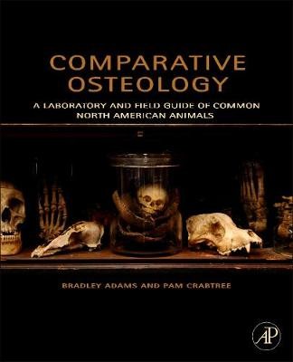 Comparative Osteology, Adams, Bradley,  Paperback
