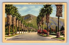 Pasadena CA-California, A Palm Lined Residential Street, Vintage c1941 Postcard