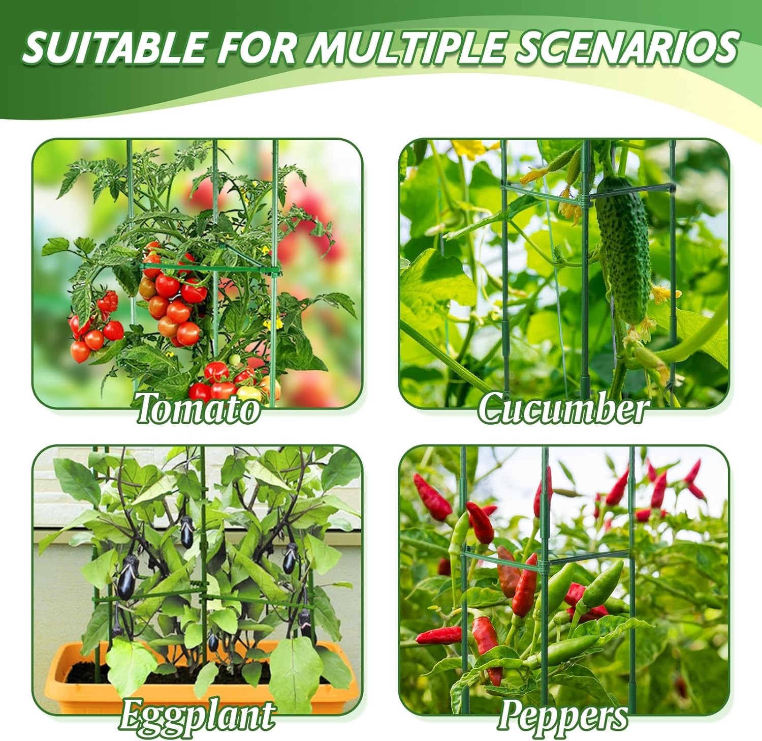 6 Pack Tomato Cage for Garden & Pots, Rust-Resistant Tomato Stakes Plant Cage Tr