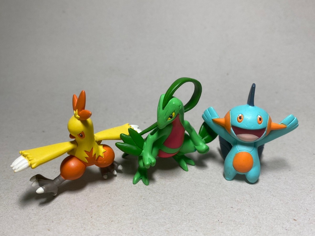 Grovyle, Marshtomp, Combusken(H1.35