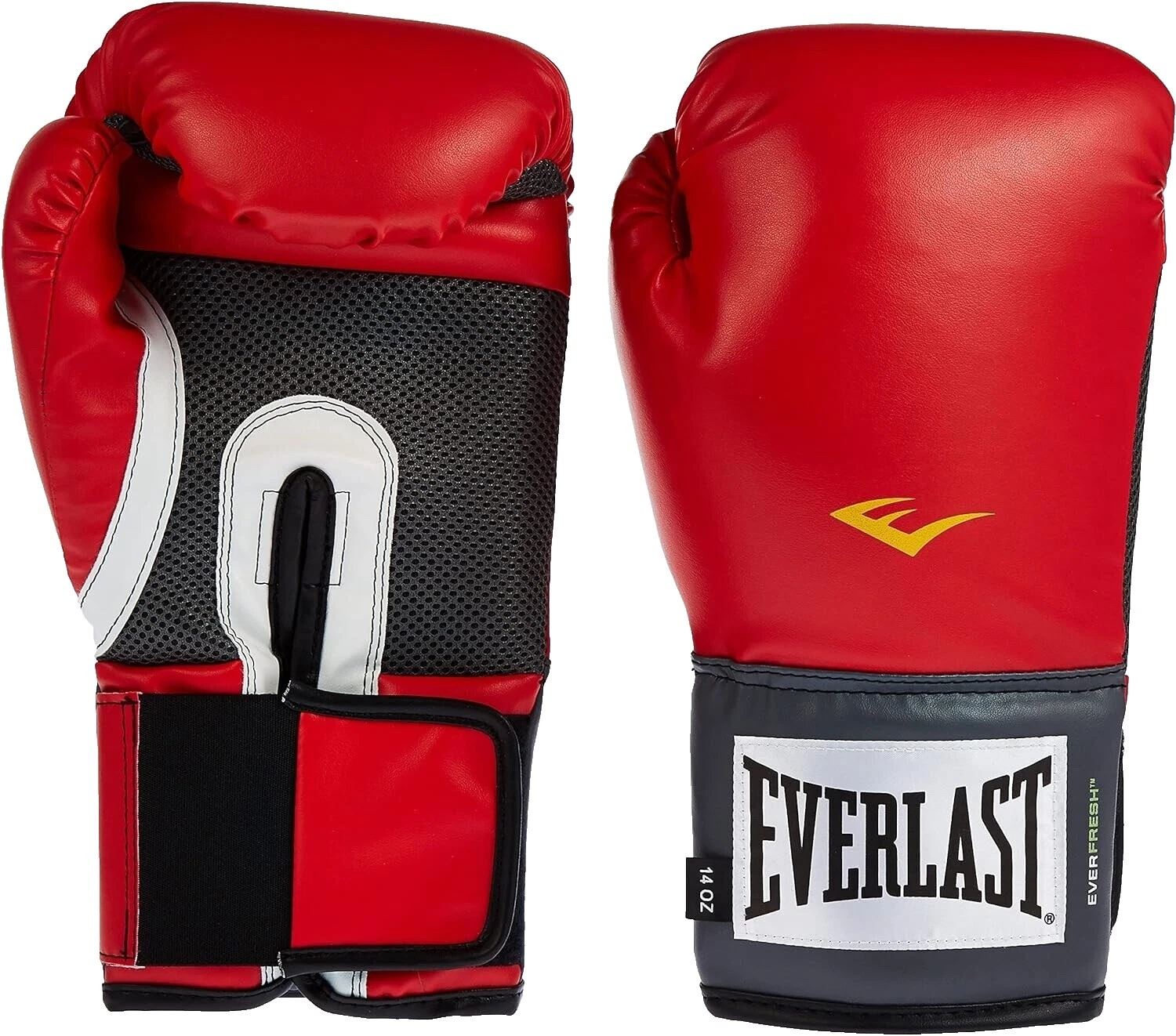 Everlast Boxing & MMA Equipment