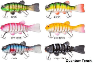 Quantum Tiny Tinca Tench / Schleie