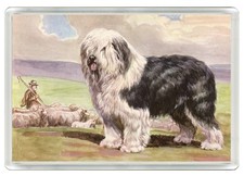 OLD ENGLISH SHEEPDOG DOG FRIDGE MAGNET GREAT GIFT