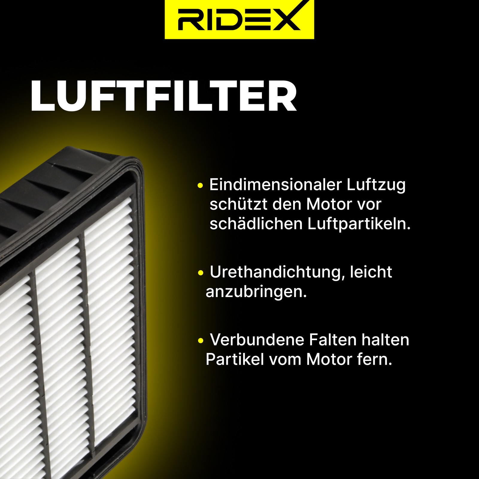 Bild 8 von 12