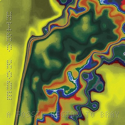 Hiro Kone A Fossil Begins to Bray (Vinyl)