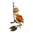 Foto 6 di 8