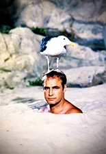 MARLON BRANDO BEDTIME STORY Photo Magnet @ 3"x5"