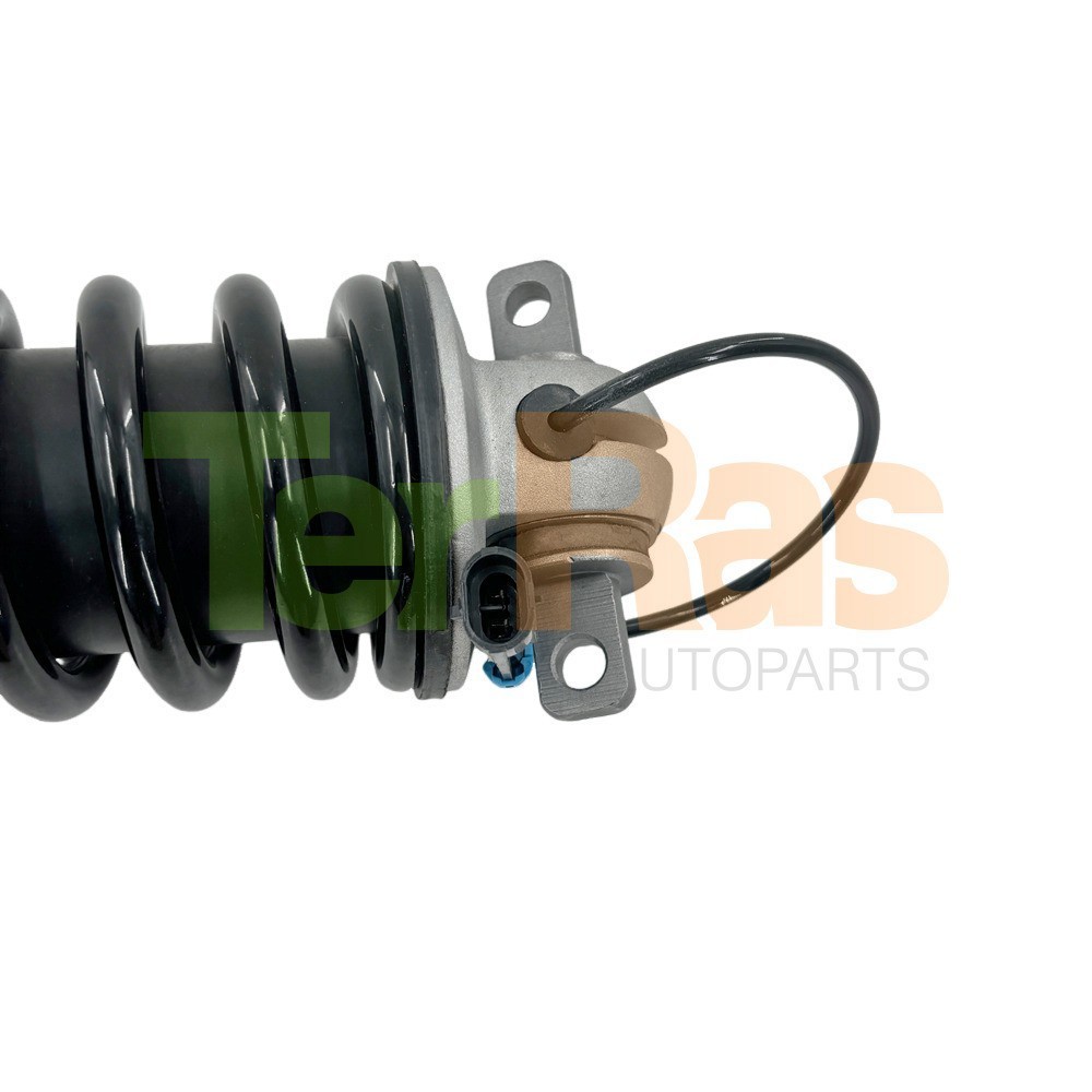 Pair Rear Shock Struts Magnetic Assys Fit Ferrari F430 #212543 190677 2005-2009