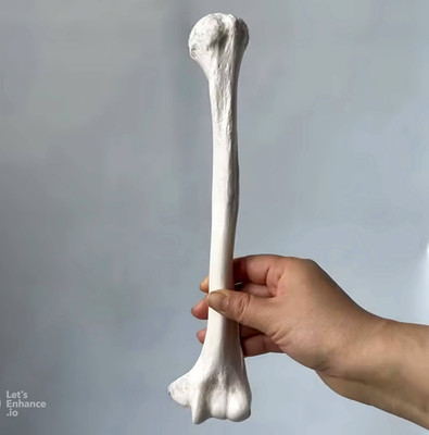 Femur Bone Silicone Mold with Built-In Stand , For Resin, Plaster, Soap, Candle