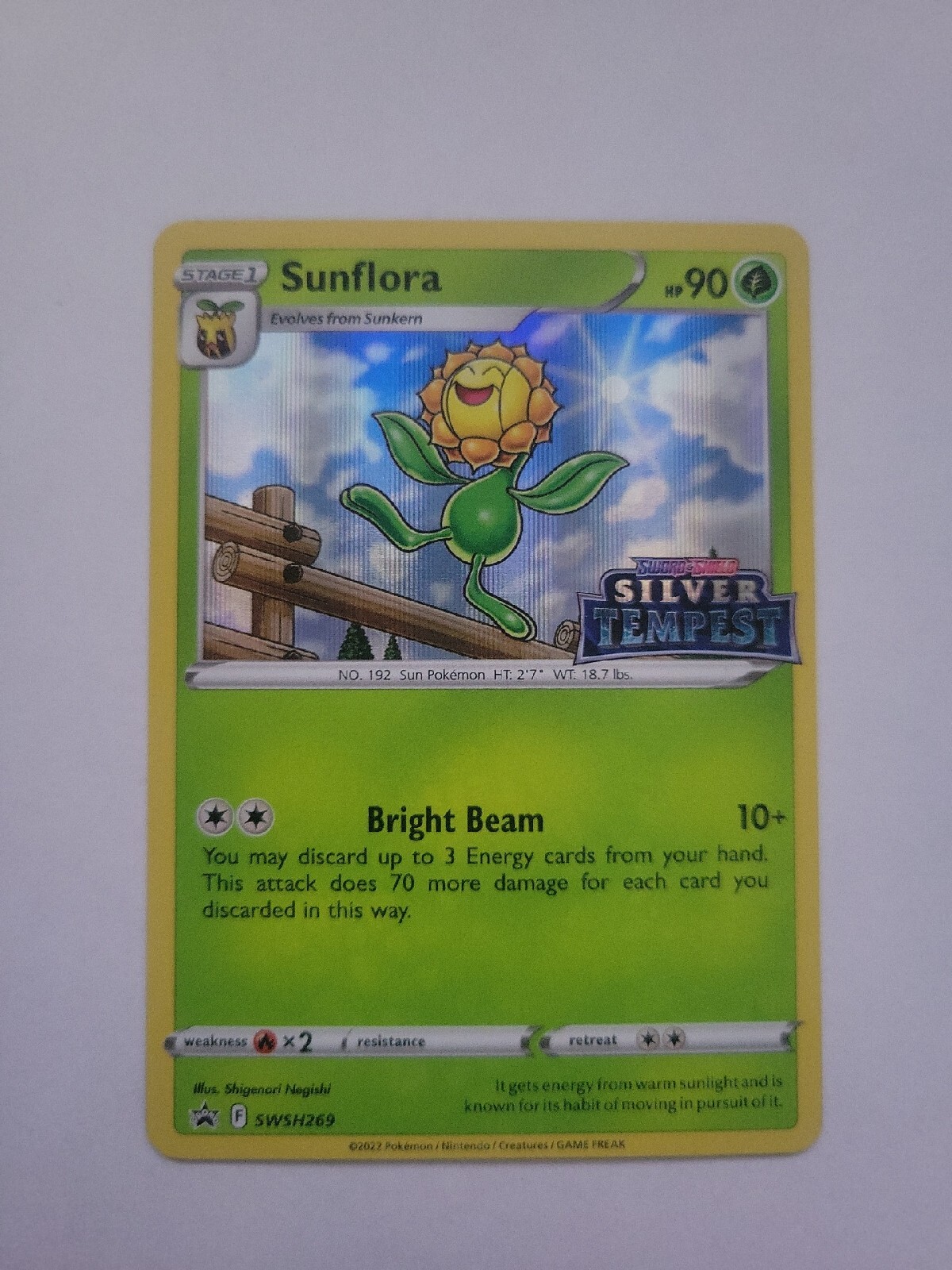 Pokémon TCG Sunflora SWSH269 Holo Black Star Promo Grass NM