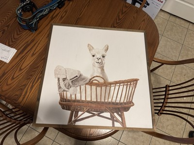 Framed Llama Wall Art