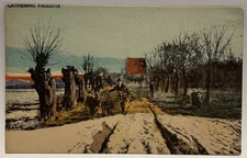 Gathering Faggots, Orsoni Process, Hand-Colored Postcard